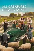 All Creatures Great and Small Season 6