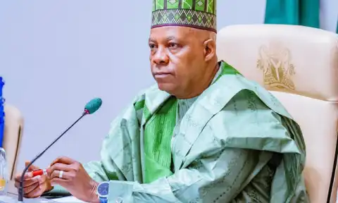 You can fix electricity without FG - Shettima tells 36 governors