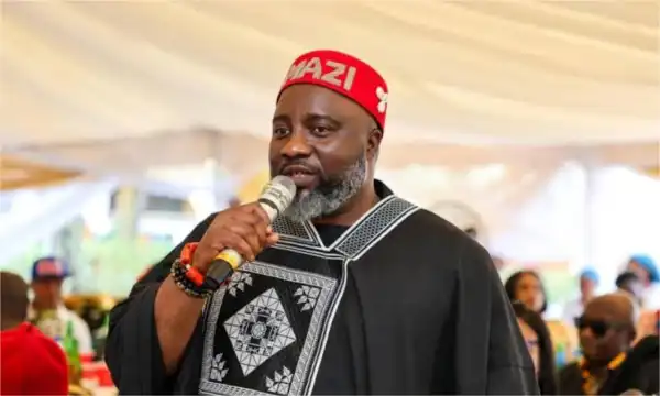 Appeal Court judgement saved Nigeria’s democracy – APP chieftain, Amadi