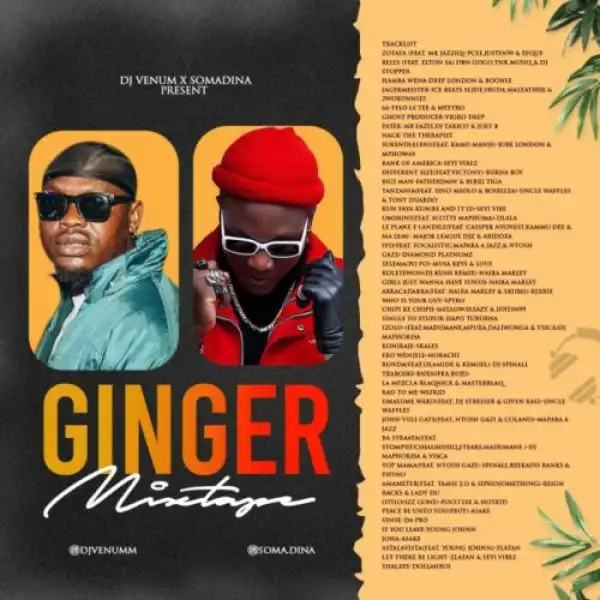 DJ Venum x Somadina – Ginger Mix