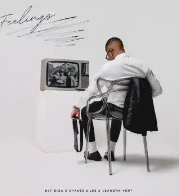 Djy Biza – Feelings ft. Shakes, Les & Leandra.Vert