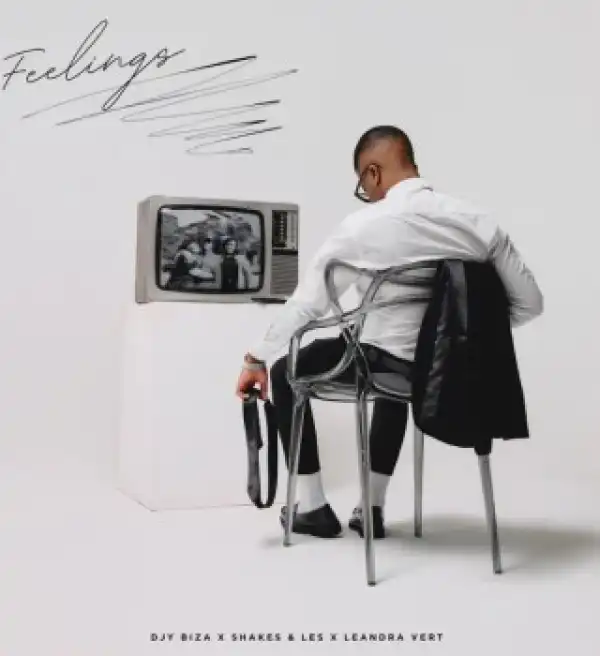 Djy Biza – Feelings ft. Shakes, Les & Leandra.Vert