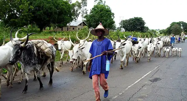 Over 150 Armed Herdsmen Storm Kogi Community, Kill 4
