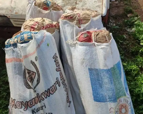 Osun Police arrest three suspected drug traffickers