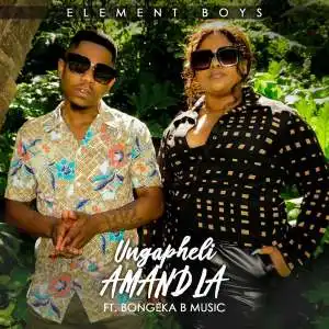 Element Boys – Ungapheli Amandla Ft. Bongeka B Music