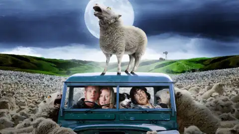 Black Sheep 2: Horror Sequel Gets First Details, Director & Star Returning