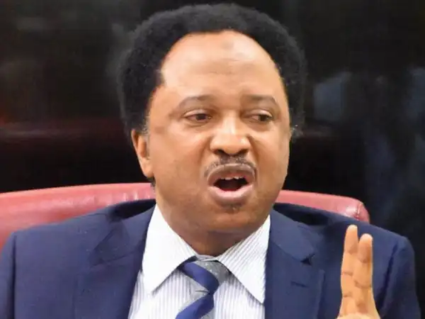 2023: Shehu Sani Reacts As Tinubu Says Nigerian Youths Can Only Be President After Him