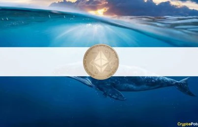 Buying Spree: The Top 10 Ethereum Wallets Now Own 20.58% of ETH’s Supply