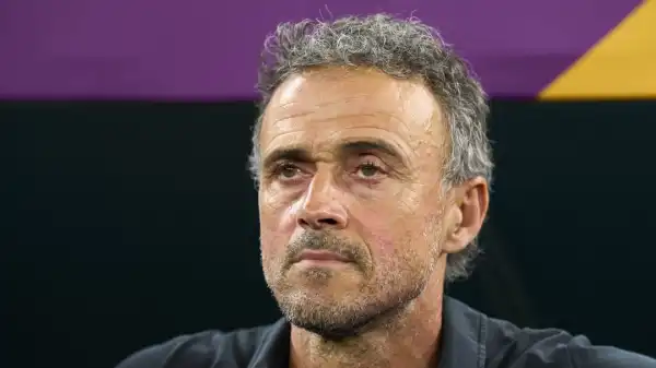 Luis Enrique leaves role as Spain manager