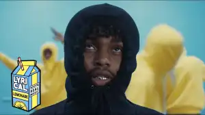 $NOT - Revenge (Video)