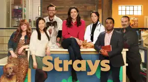 Strays Season 1