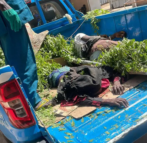 Two killed, one injured in Kano auto crash