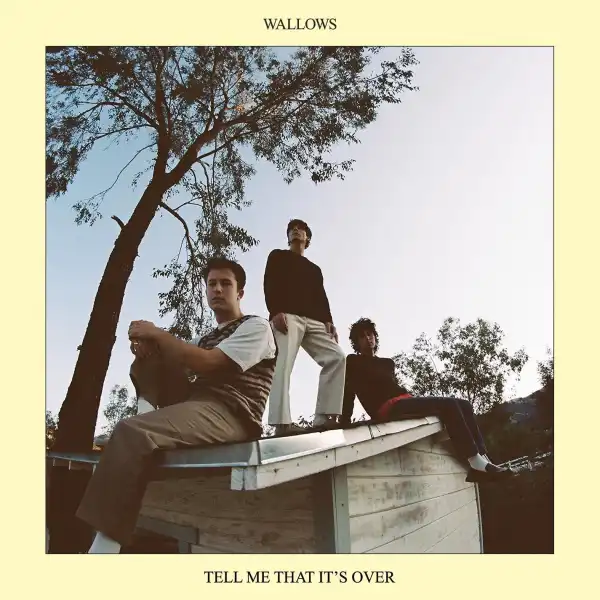 Wallows - I Don