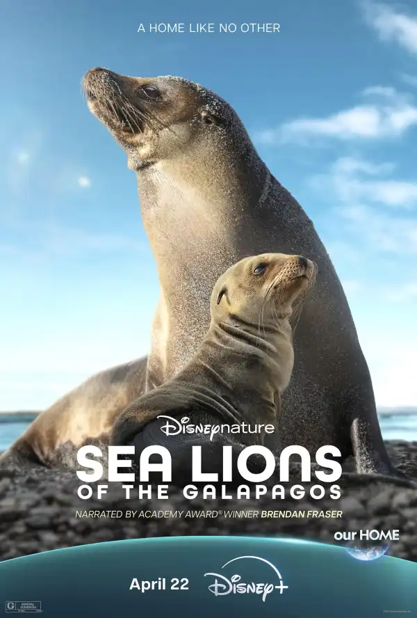 Sea Lions of the Galapagos (2025)