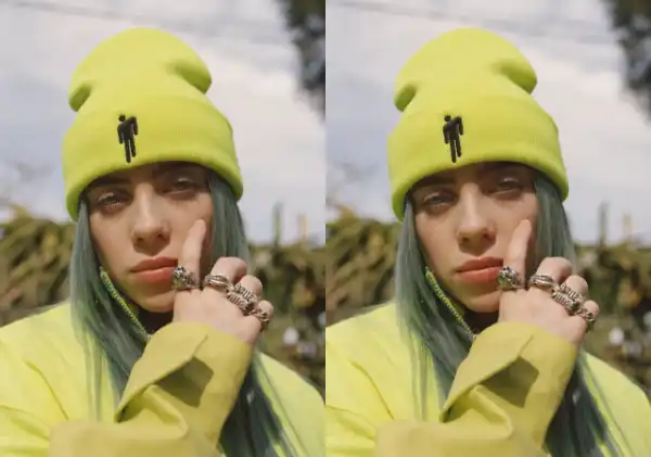 “I regret opening up about my sexuality” – Singer, Billie Eilish