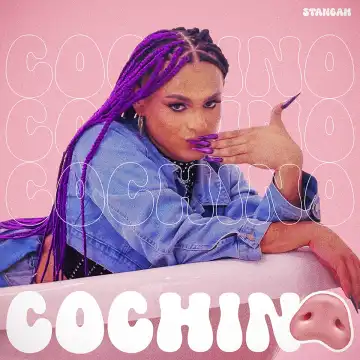 Stangah – Cochino