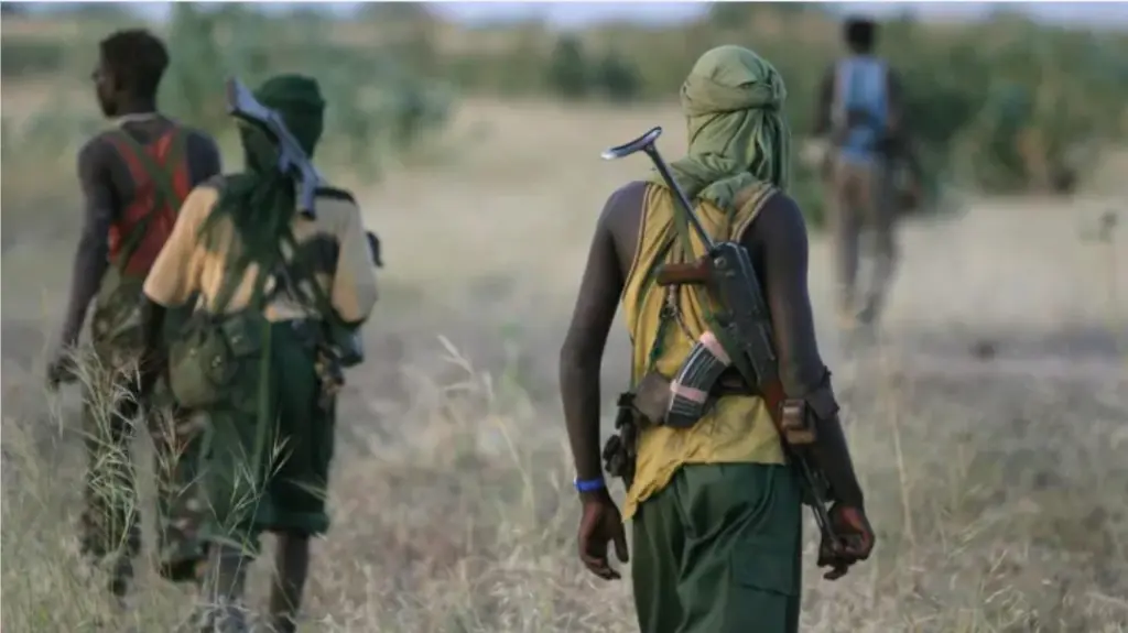 Gunmen abduct woman in Kebbi, demand N20 million ransom