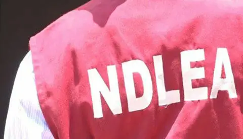 Area Boys attack NDLEA operatives, foil arrest of suspected drug dealer