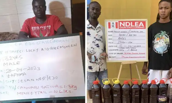 NDLEA Arrests Cripple In Edo, Ex-convict In Adamawa For Drug Trafficking