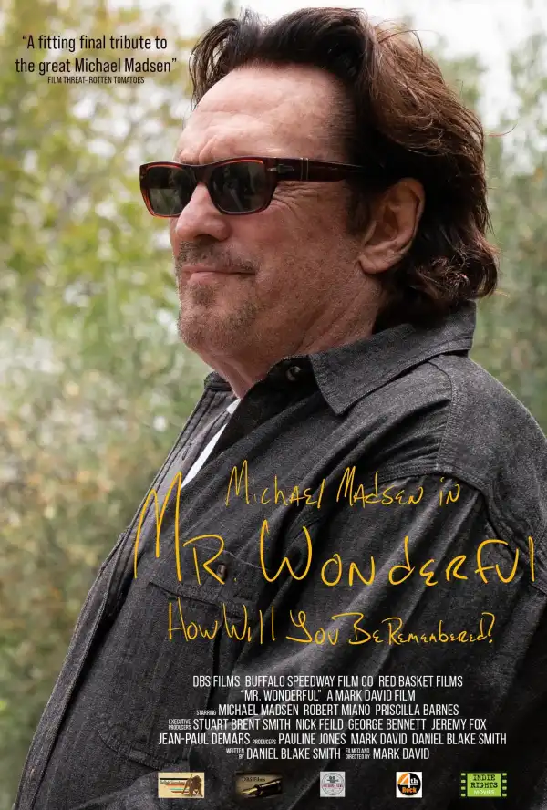 Mr. Wonderful (2026)