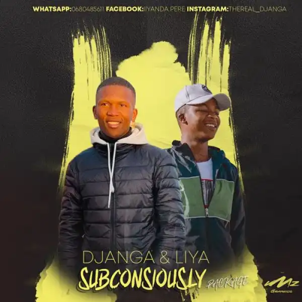 DJ Anga & Liya – Project Zero