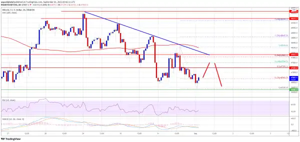 Bitcoin Holds Key Support, Why Technicals Suggest a Crucial Breakout Pattern