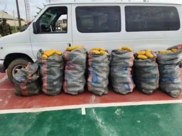 Customs Intercept 553 Parcels Of Cannabis Sativa In Seme