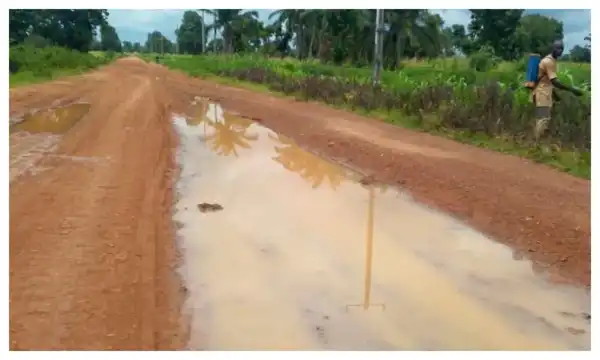 Nasarawa: Residents lament abandoned ₦865m Lafia-Agyaragu Tofa road project