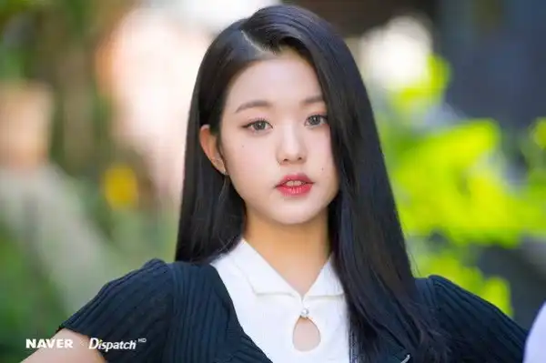 Biography & Career of Jang Won-young