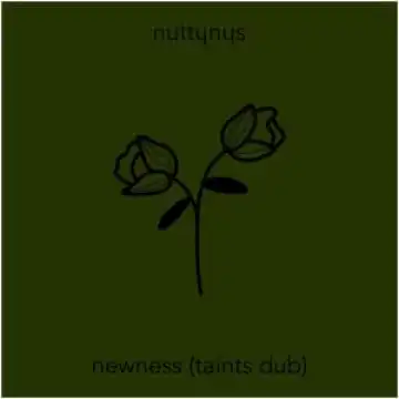 Nutty Nys – Newness (Taints Dub)