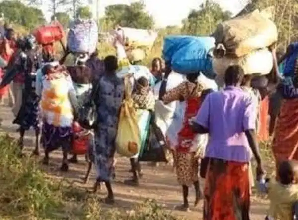 How 19 Women Fleeing Banditry Gave Birth To 22 Babies In Shiroro – Official