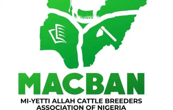 Plateau: MACBAN alleges killing of 14 cows, rustling 29 others