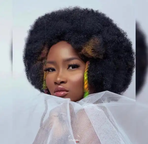 BBNaija All Stars: Ilebaye Blames Alcohol For Brawl With CeeC And Doyin