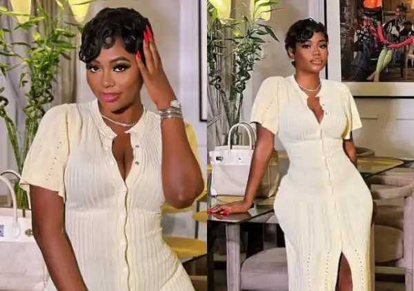 Sophia Momodu Hits Back At Trolls Over Real Housewives Of Lagos Invitation