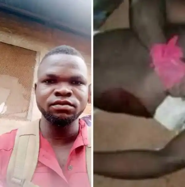 Suspected Herdsmen Attack Benue Police PPRO