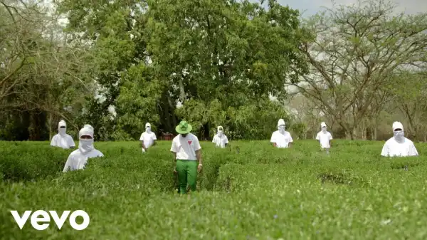 K.O – Playback (Video)