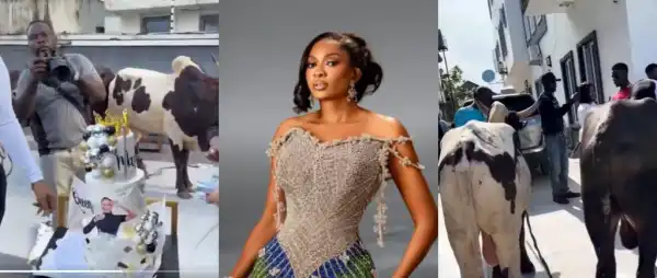 Fans Surprise May Edochie With Two Cows, Ogene Performance For Her Birthday