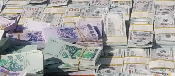 Kano Police recover counterfeit currencies in dollars, others worth over N100bn