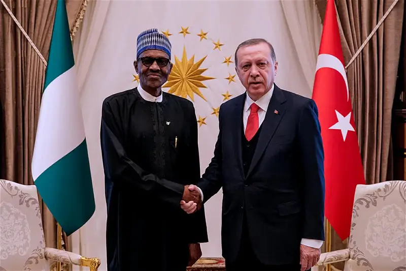 Earthquake: Turkey seeks humanitarian assistance from Nigeria