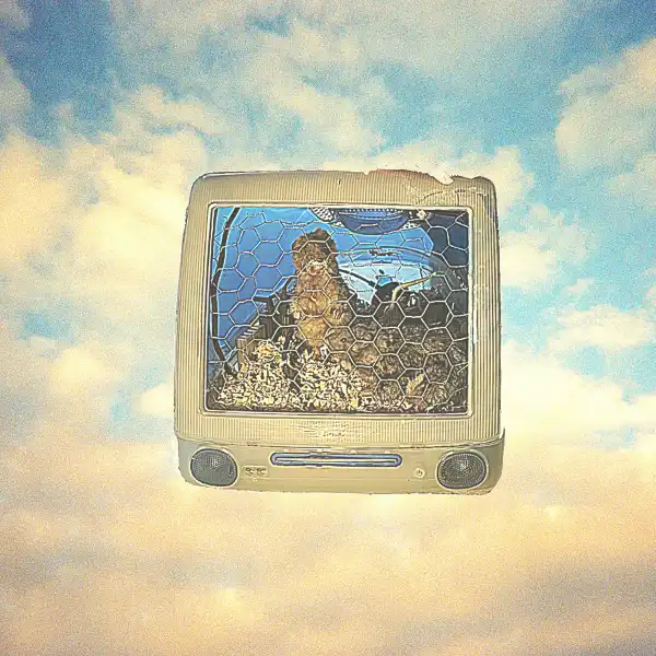 Penelope Scott – Cemetery Pigeons