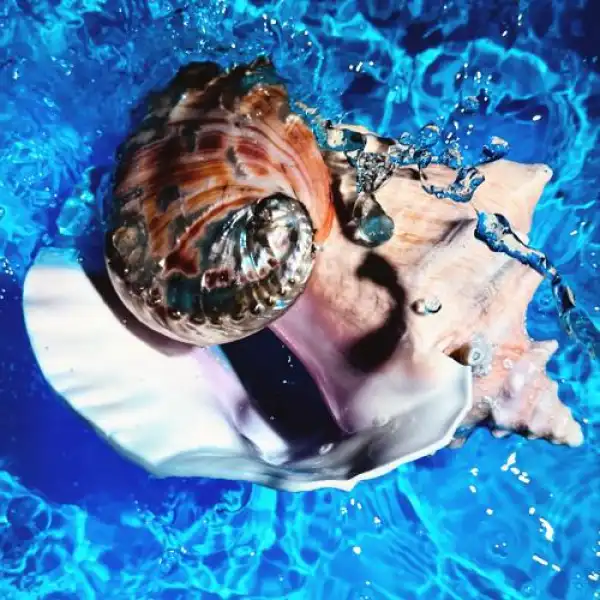 Shygirl Ft. Tinashe – Heaven (Instrumental)