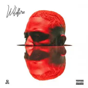 Prettyboy D-O – Wetin You Smoke Ft. Olamide