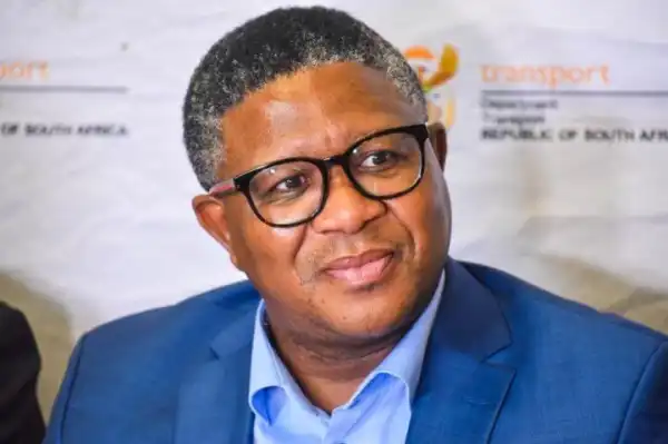 Career & Net Worth Of Fikile Mbalula