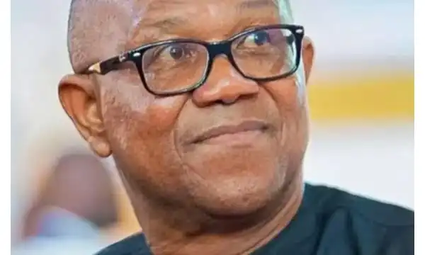 Withdraw from 2027 election, you have been proved wrong – Presidency tells Peter Obi