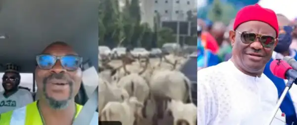 “It’s Only Cows That Have Defeated Wike” – Isaac Fayose Reacts to Herds Roaming Abuja Roads