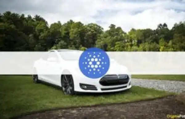 Elon Musk’s Tesla Should Accept ADA, Says Cardano Founder Charles Hoskinson