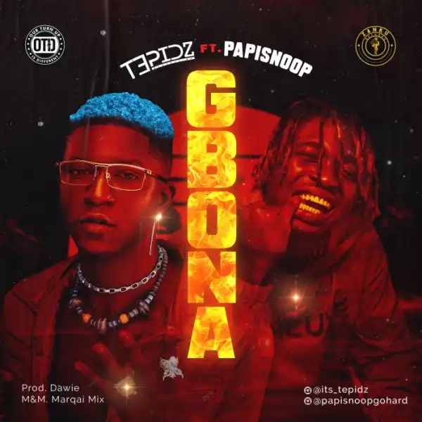 Tepidz Ft. Papisnoop – Gbona