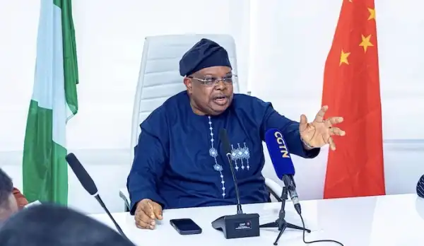 Newly confirmed Power Minister outlines 5 priorities for constant electricity in Nigeria
