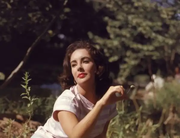 Biography & Career Of Elizabeth Taylor