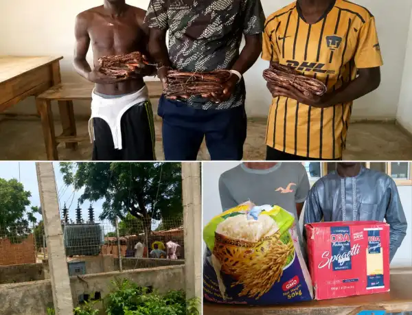 Police arrest five suspects over alleged fraud, transformer vandalism, others in Yobe
